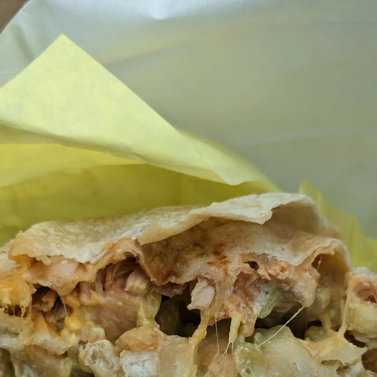 French Fry Burrito