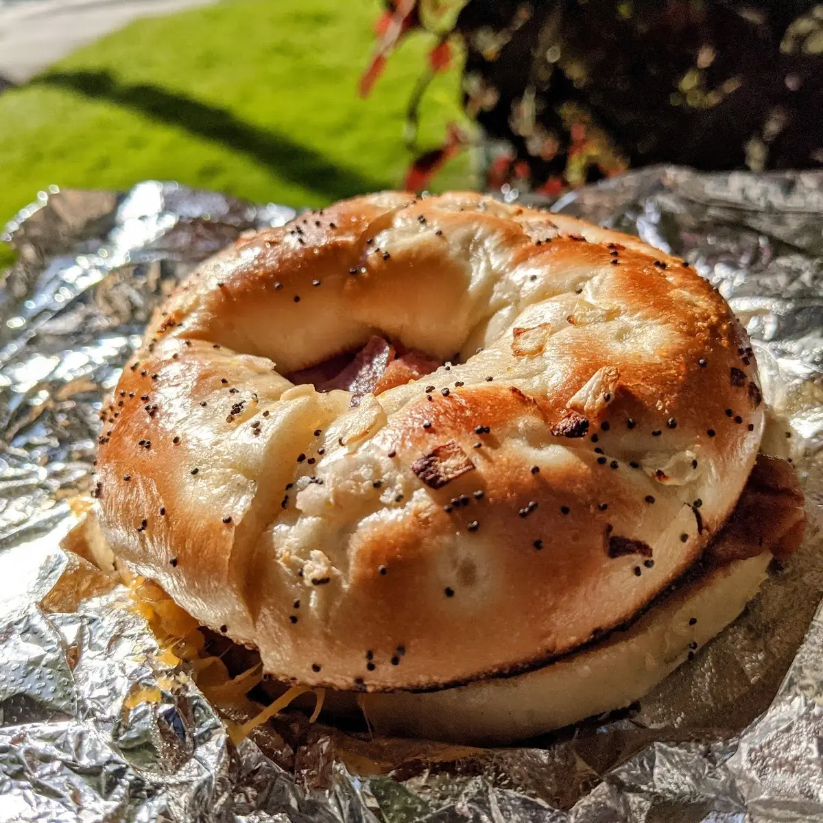 Onion Bagel with Bacon Egg and Cheese