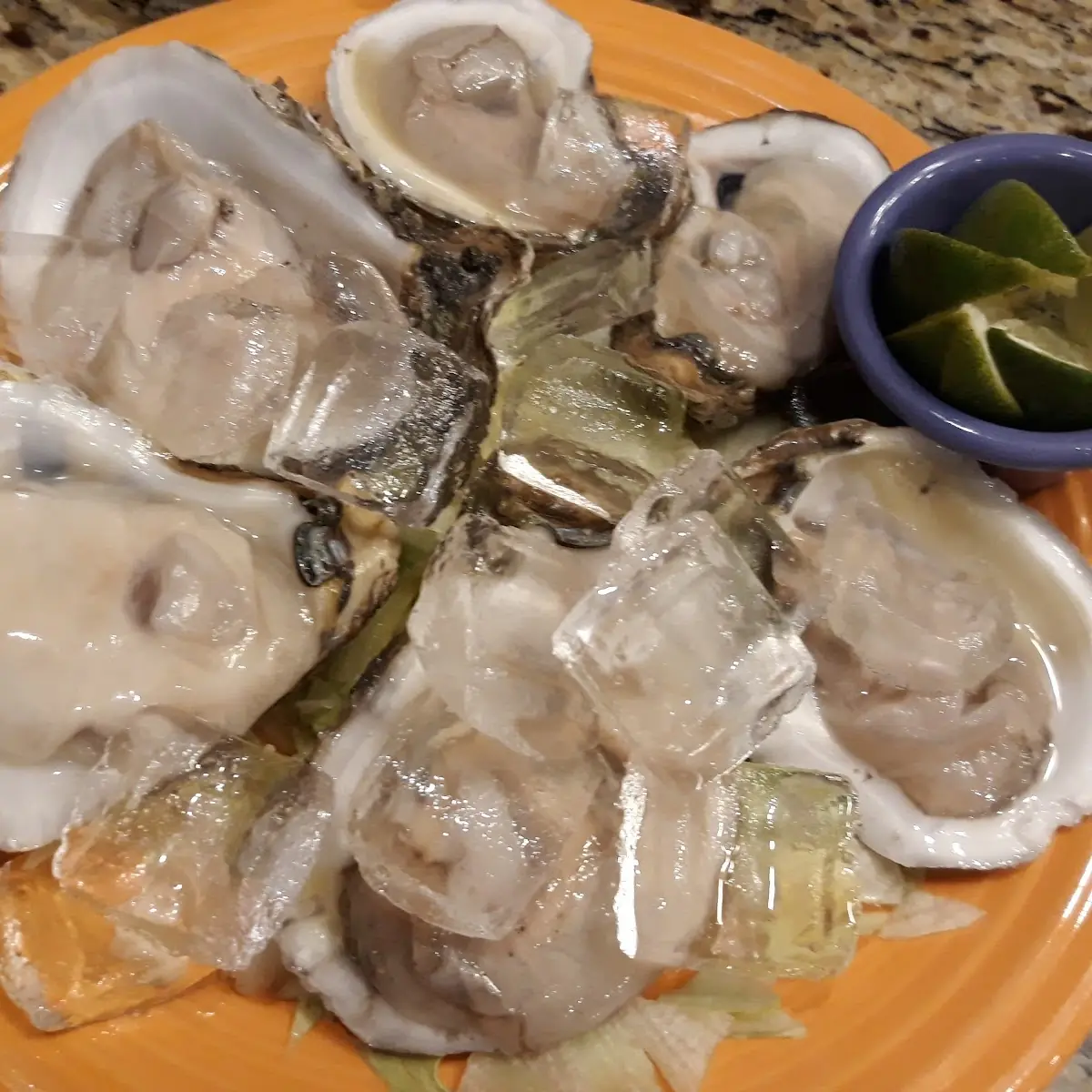Fresh Oysters