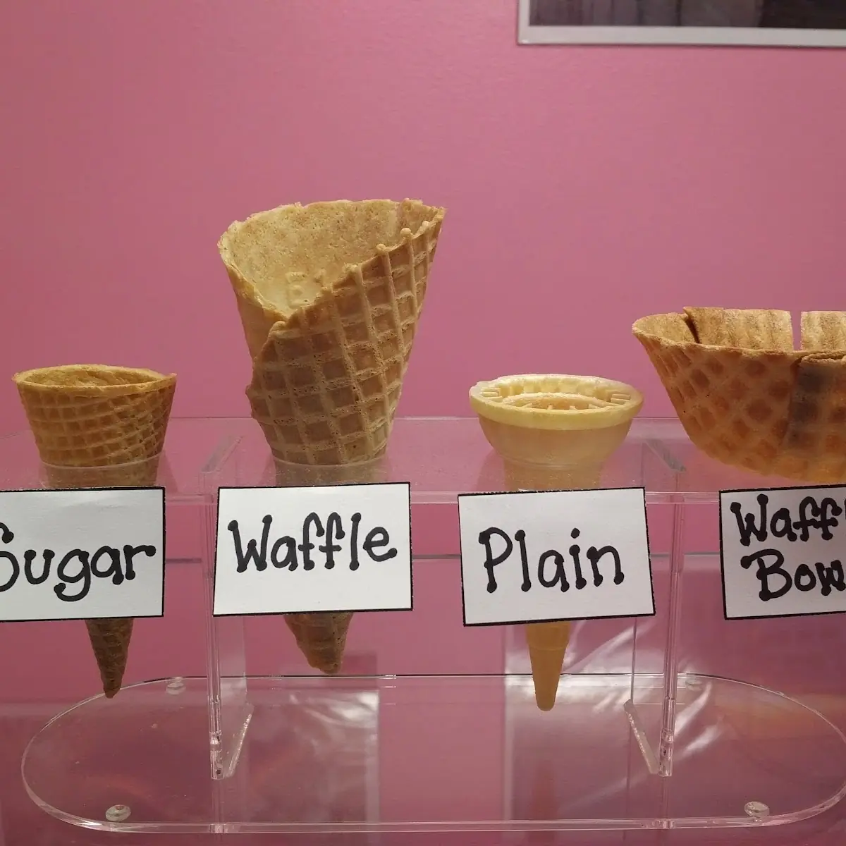 Waffle Cone Bowl