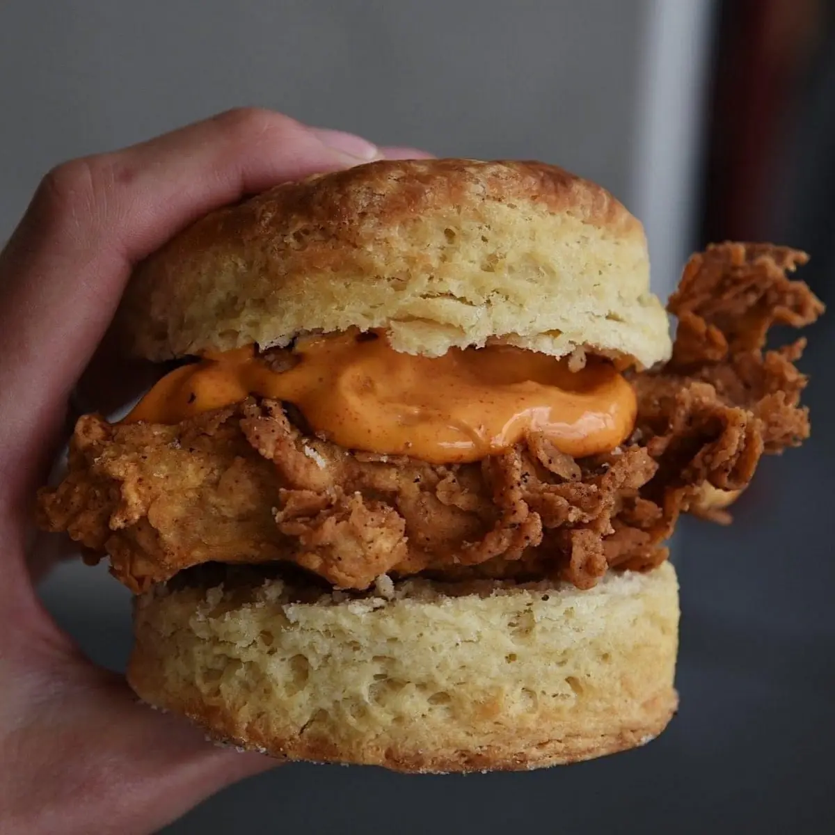 Chicken Cutlet Biscuit