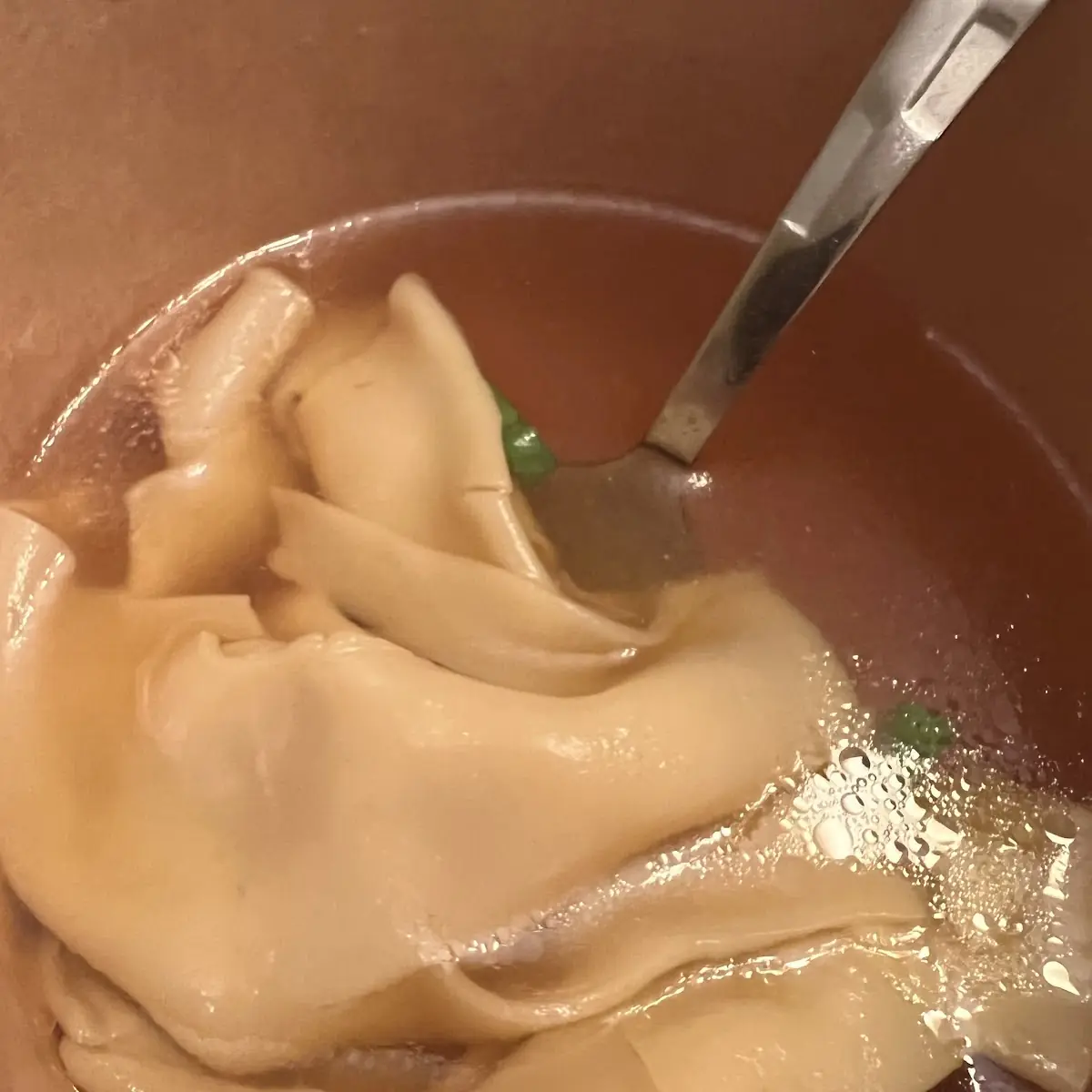 Wonton Soup