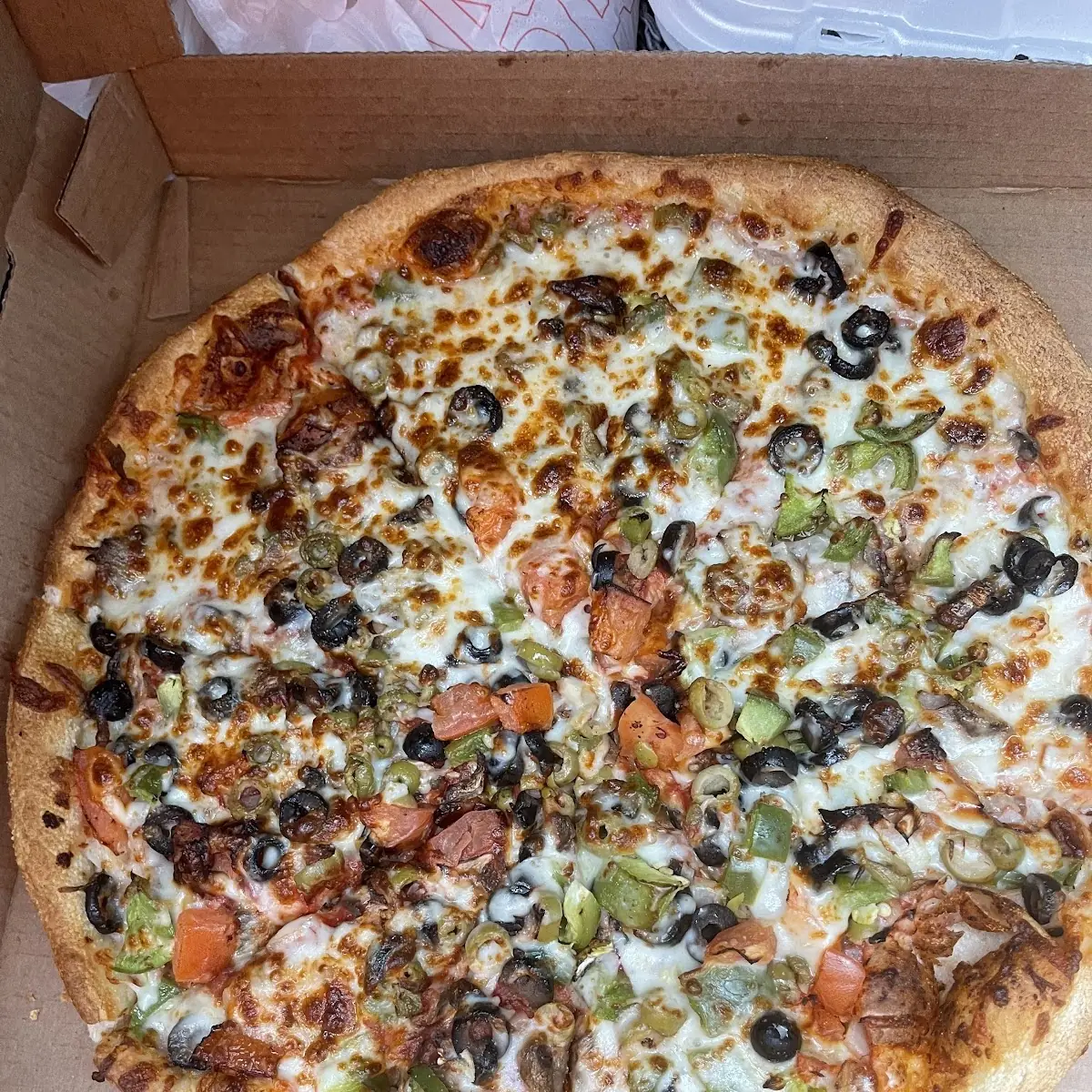 Vegetarian Pizza
