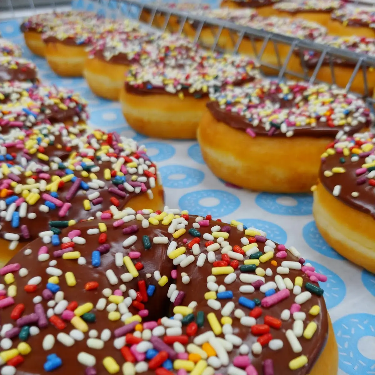 Doughnut