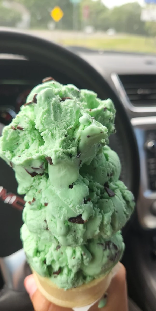 Mint Chocolate Chip