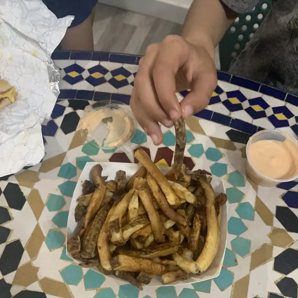 Elli Cheese Fries