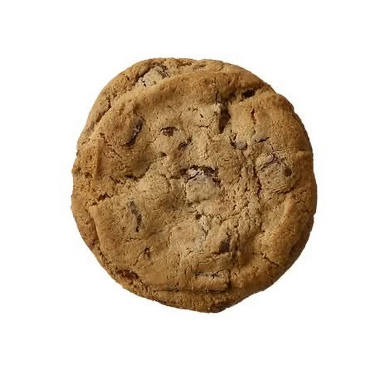Chocolate Chip Cookie