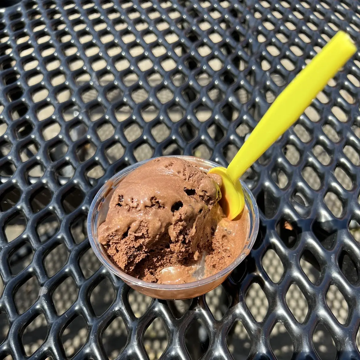 Chocolate Ice Cream