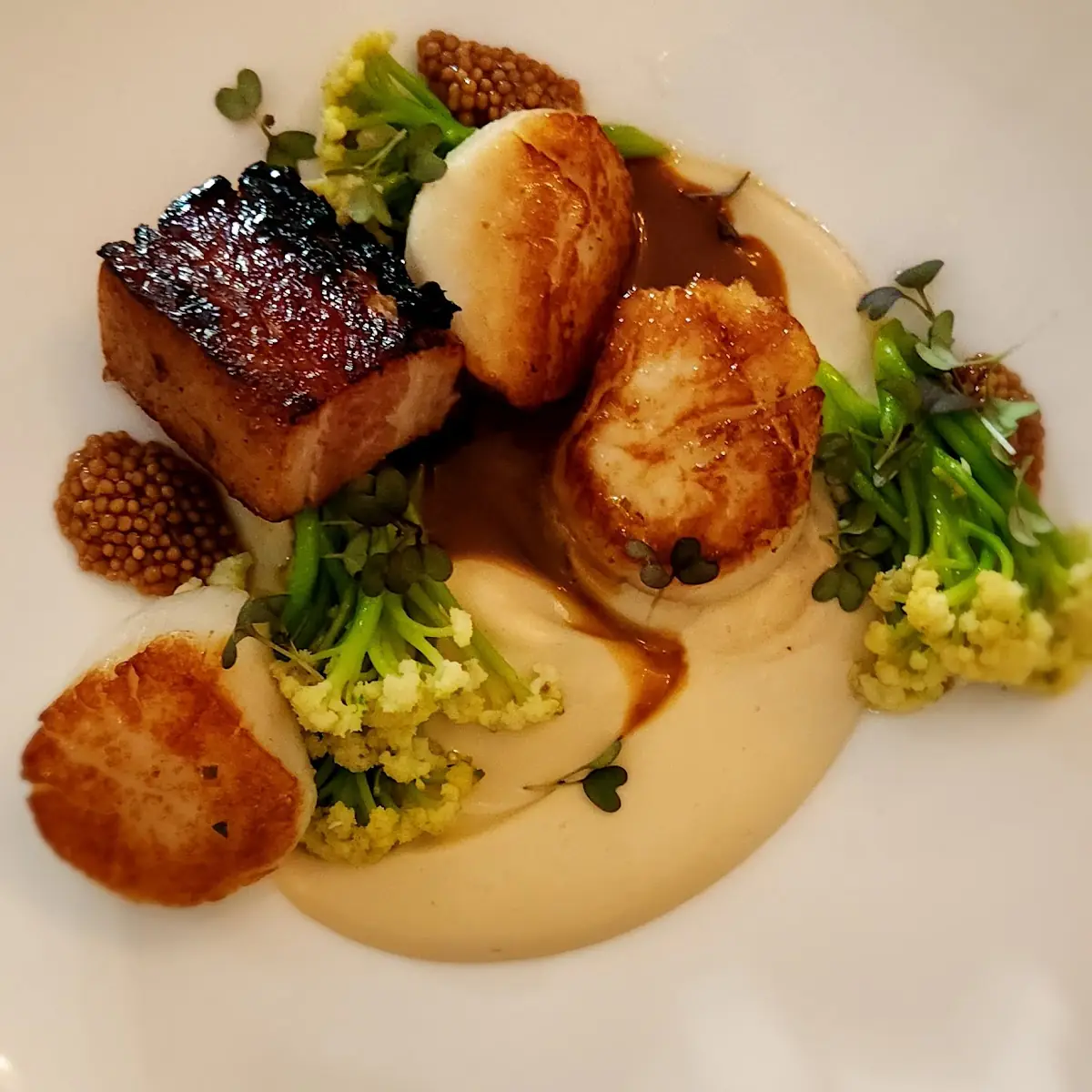 Golden Seared Jumbo Sea Scallops