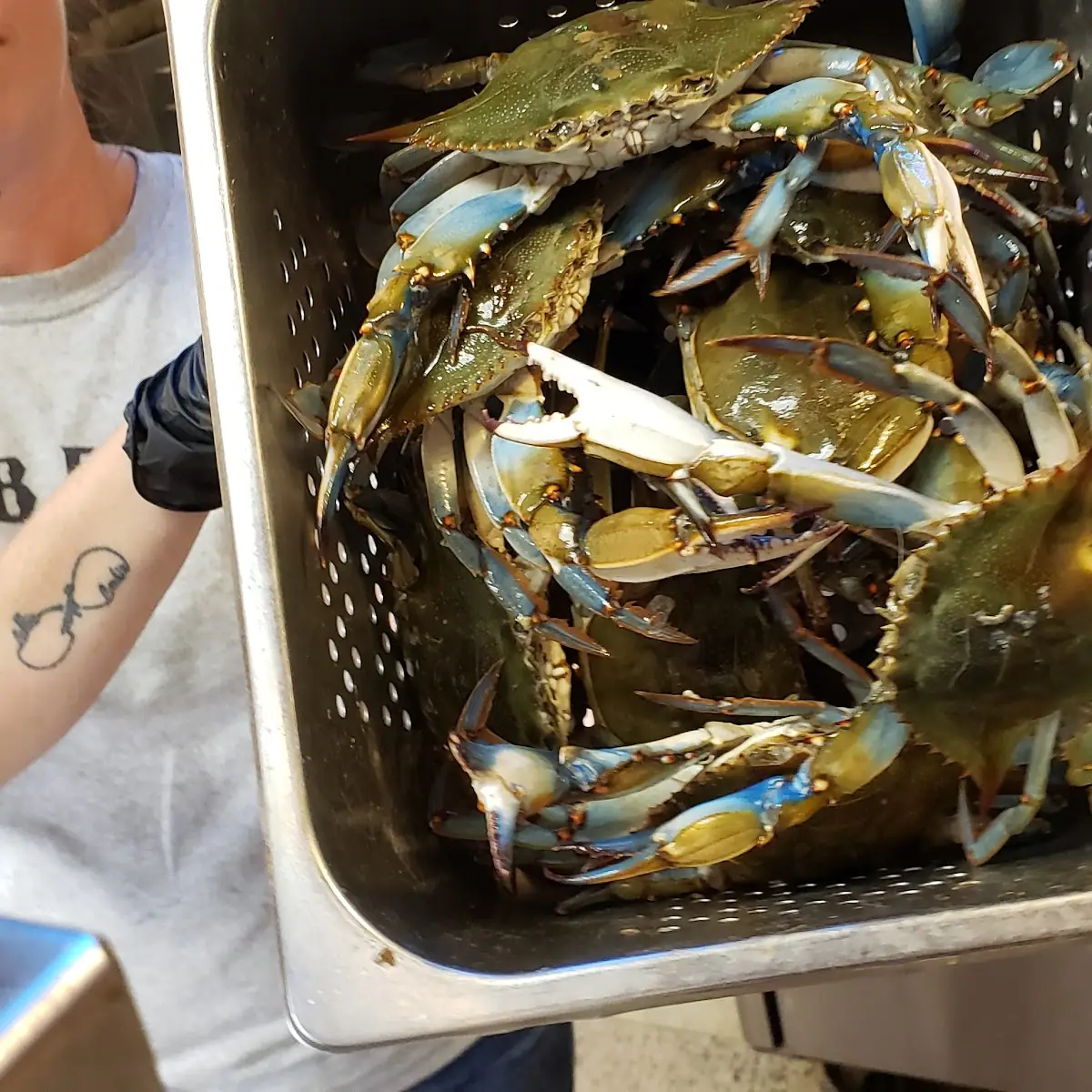 Local Blue Crabs