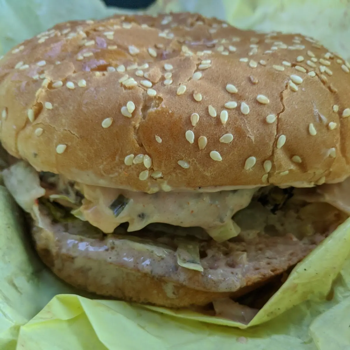 Double Cheeseburger
