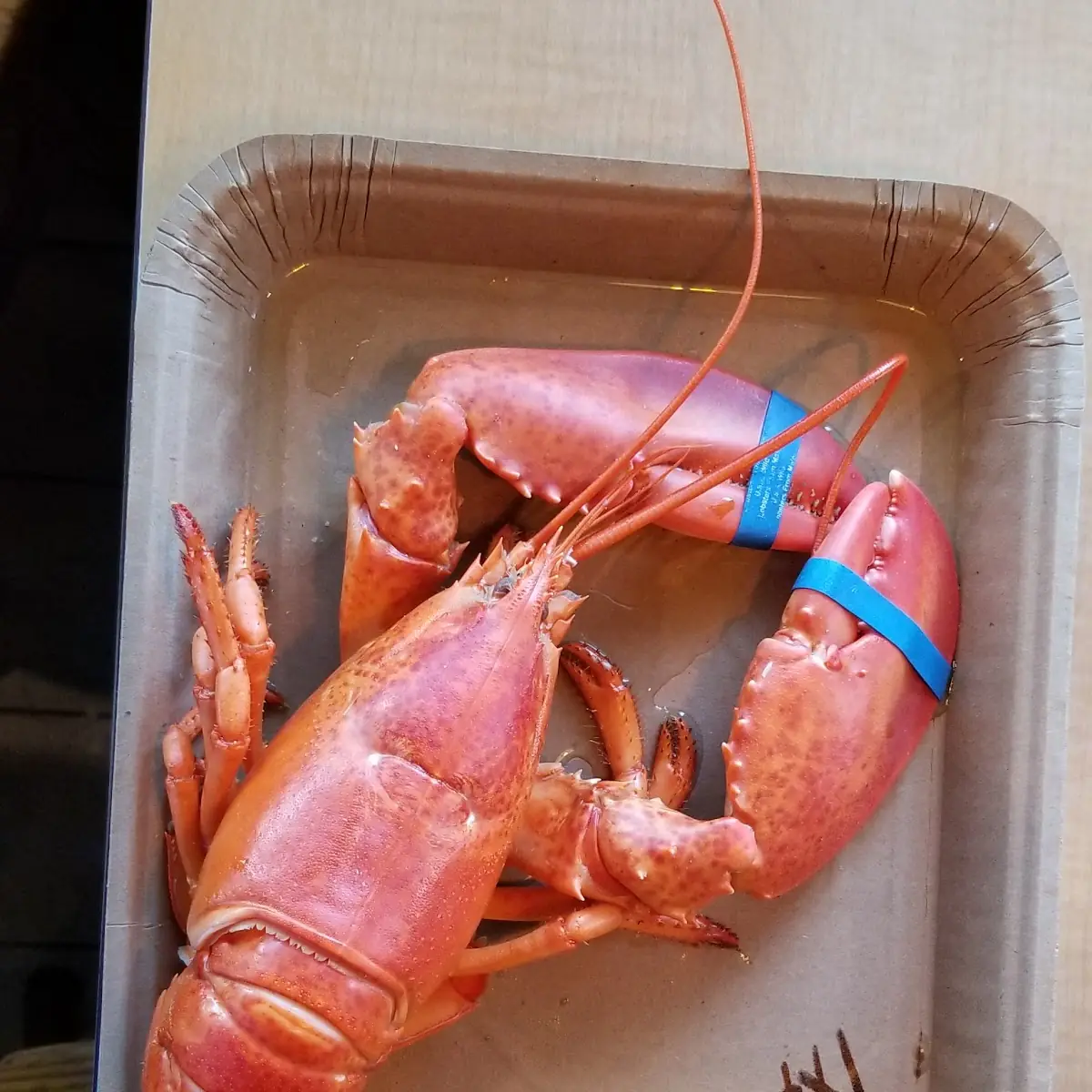 Lobster and Lobster Bisque