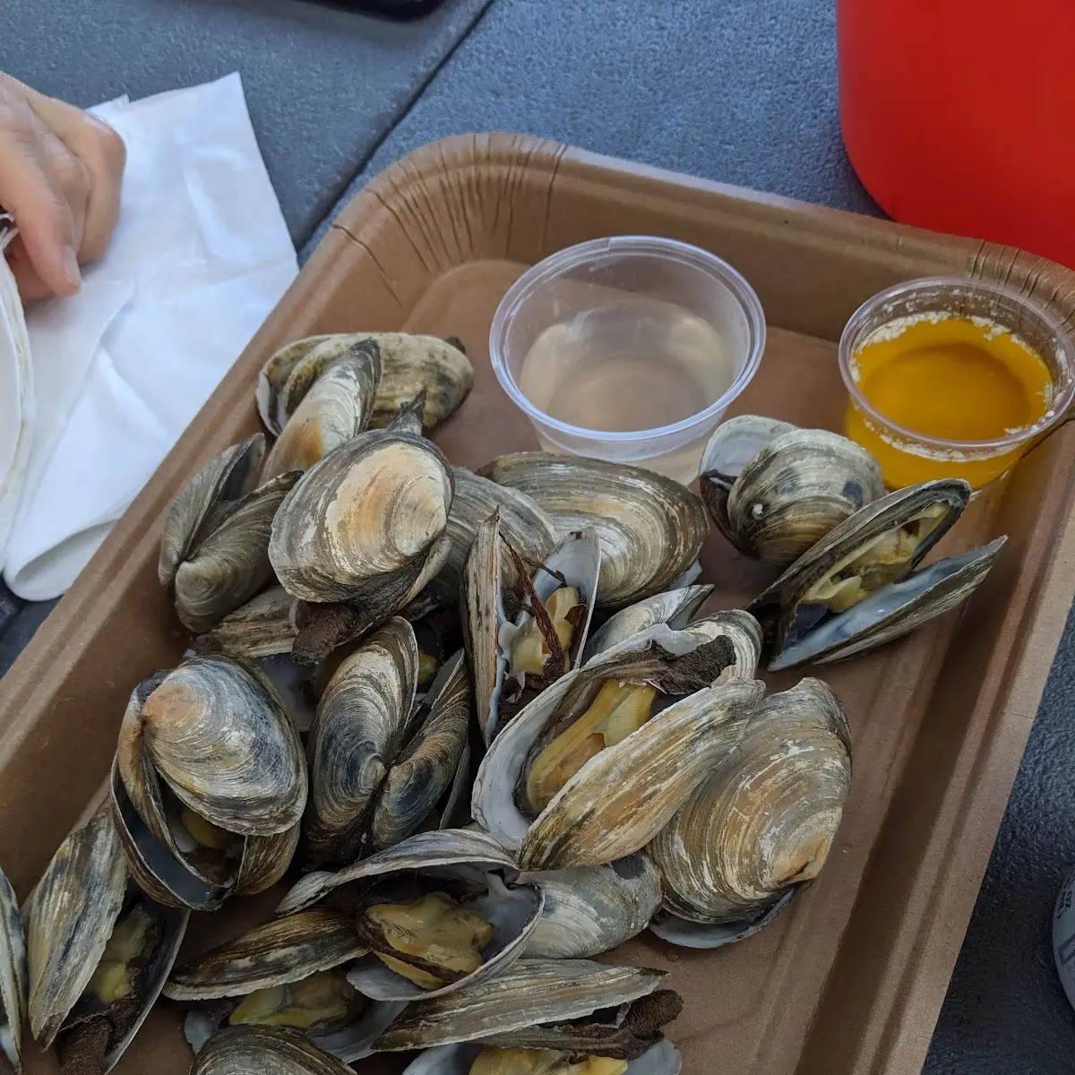 Steamed Clams