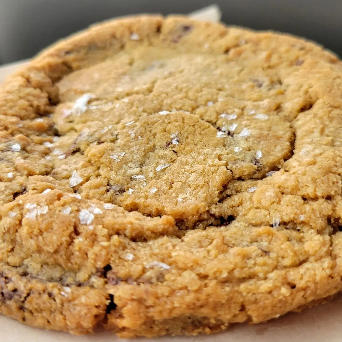 Salted Chocolate Chip Cookie