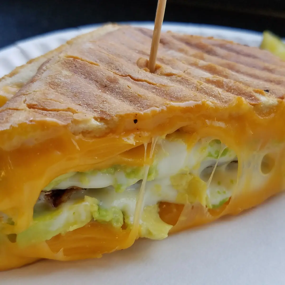 Grilled Cheese Panini