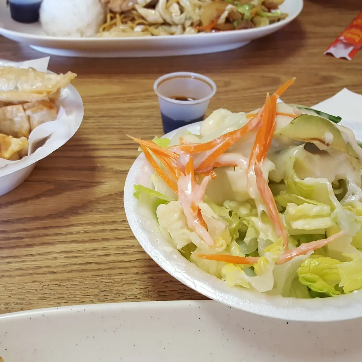 Side Salad and Gyoza