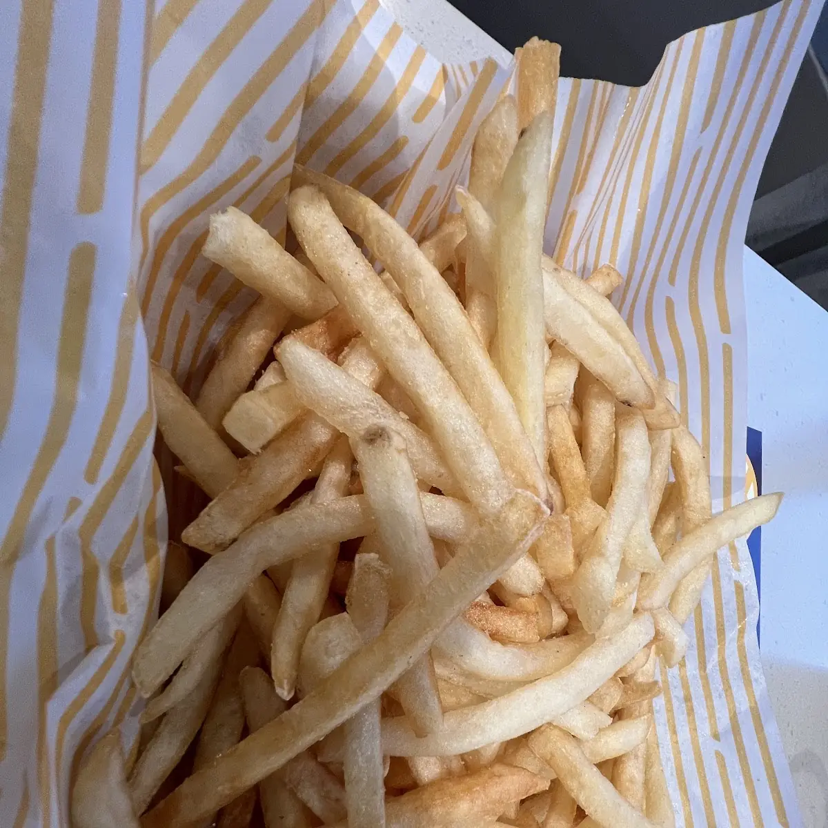 World Famous Fries