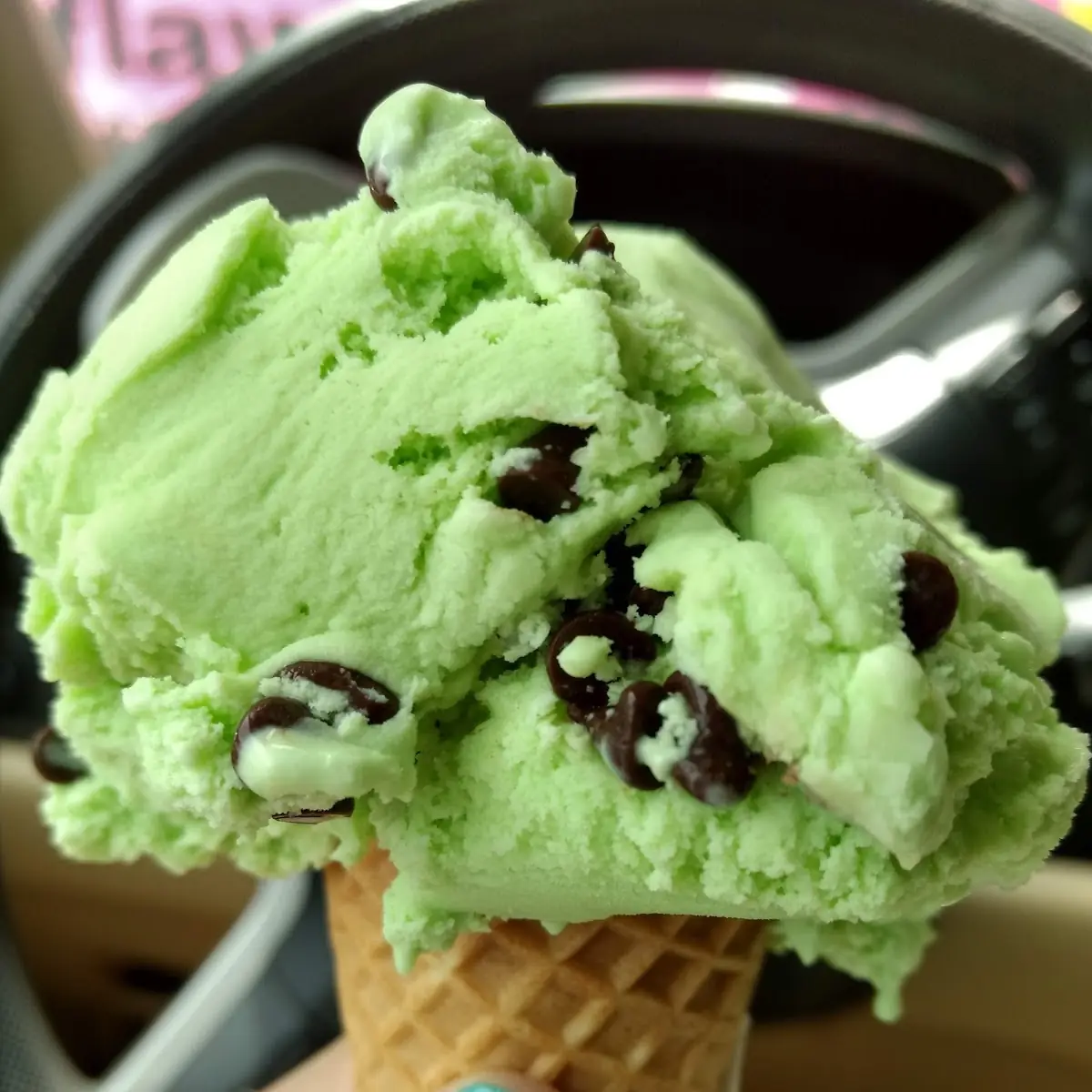 Homemade Mint Chocolate Chip Ice Cream