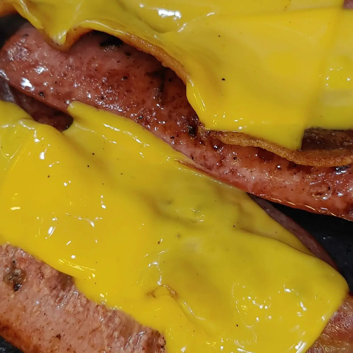 Bacon Cheese Dogs