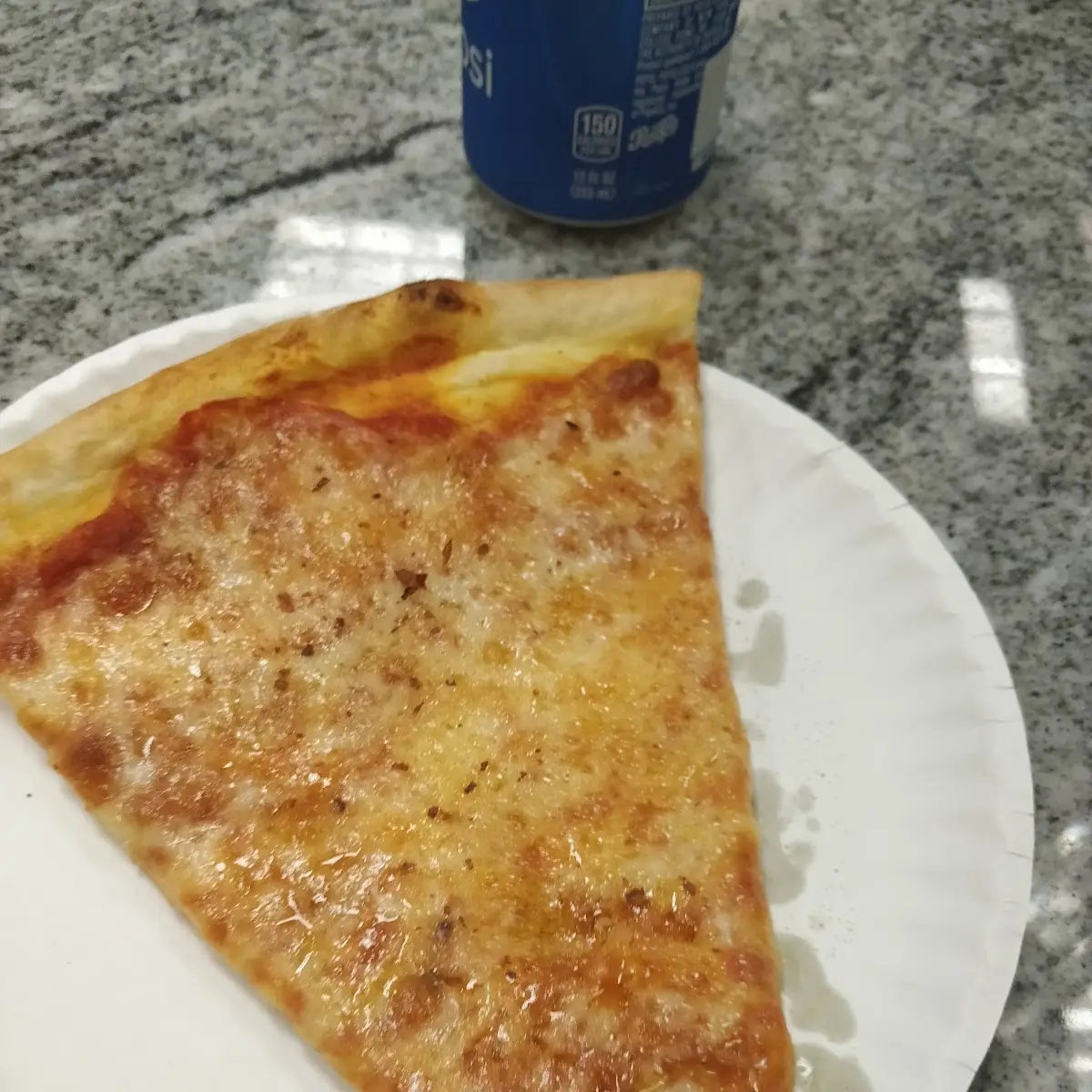 Plain Cheese Calzone