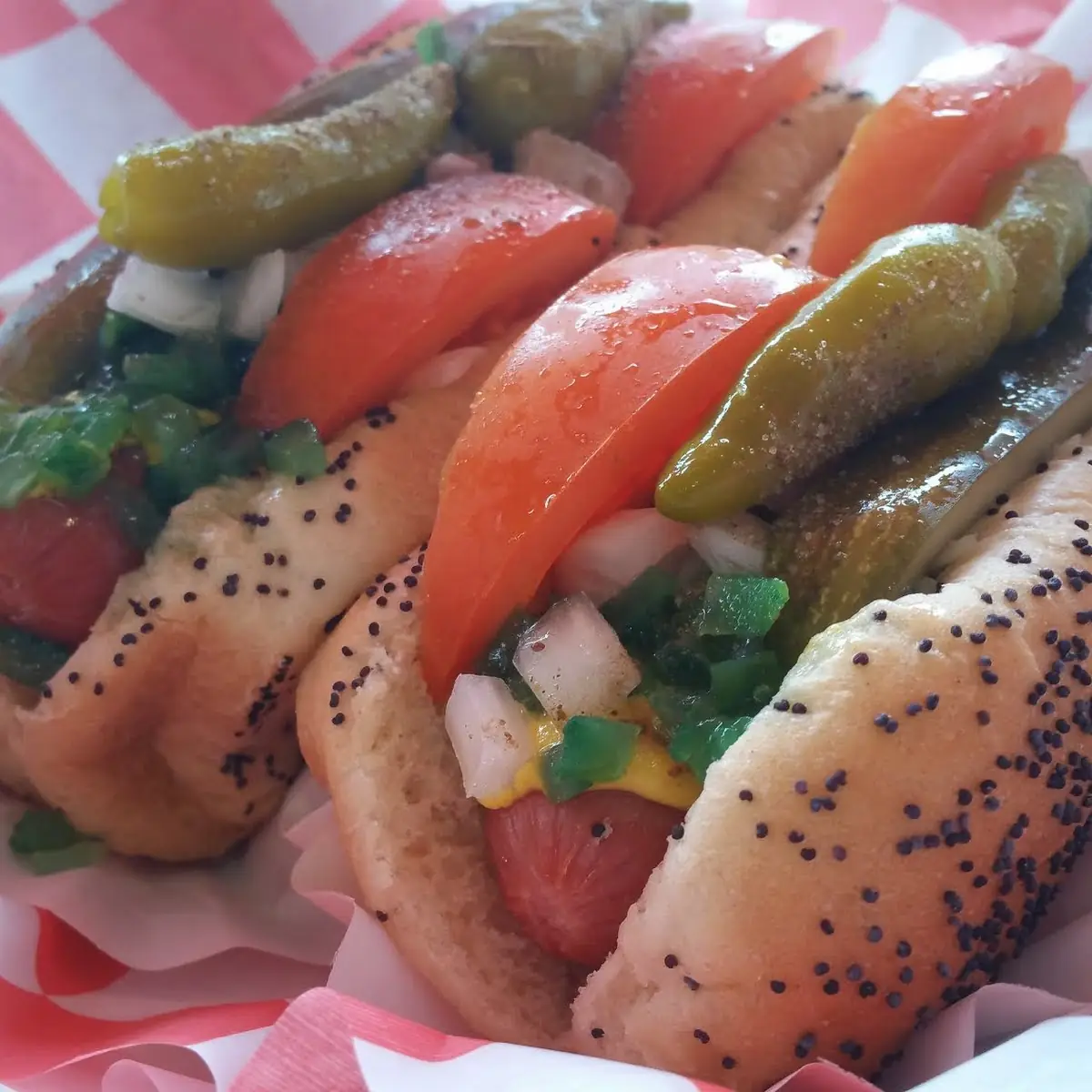Chicago-Style Hot Dog