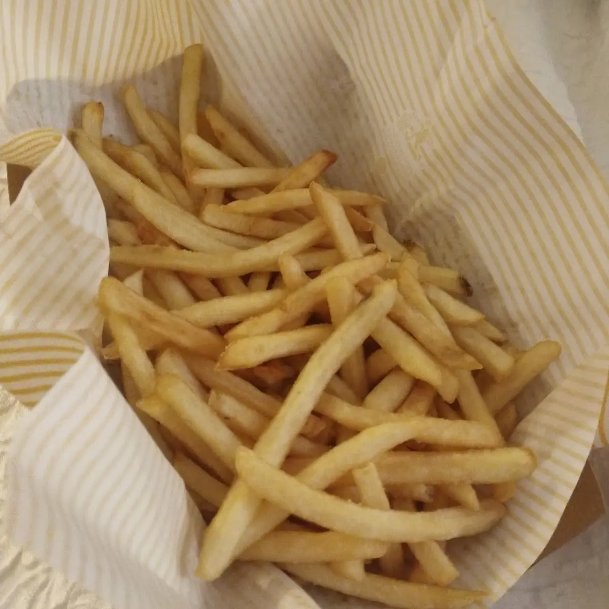 World Famous Fries