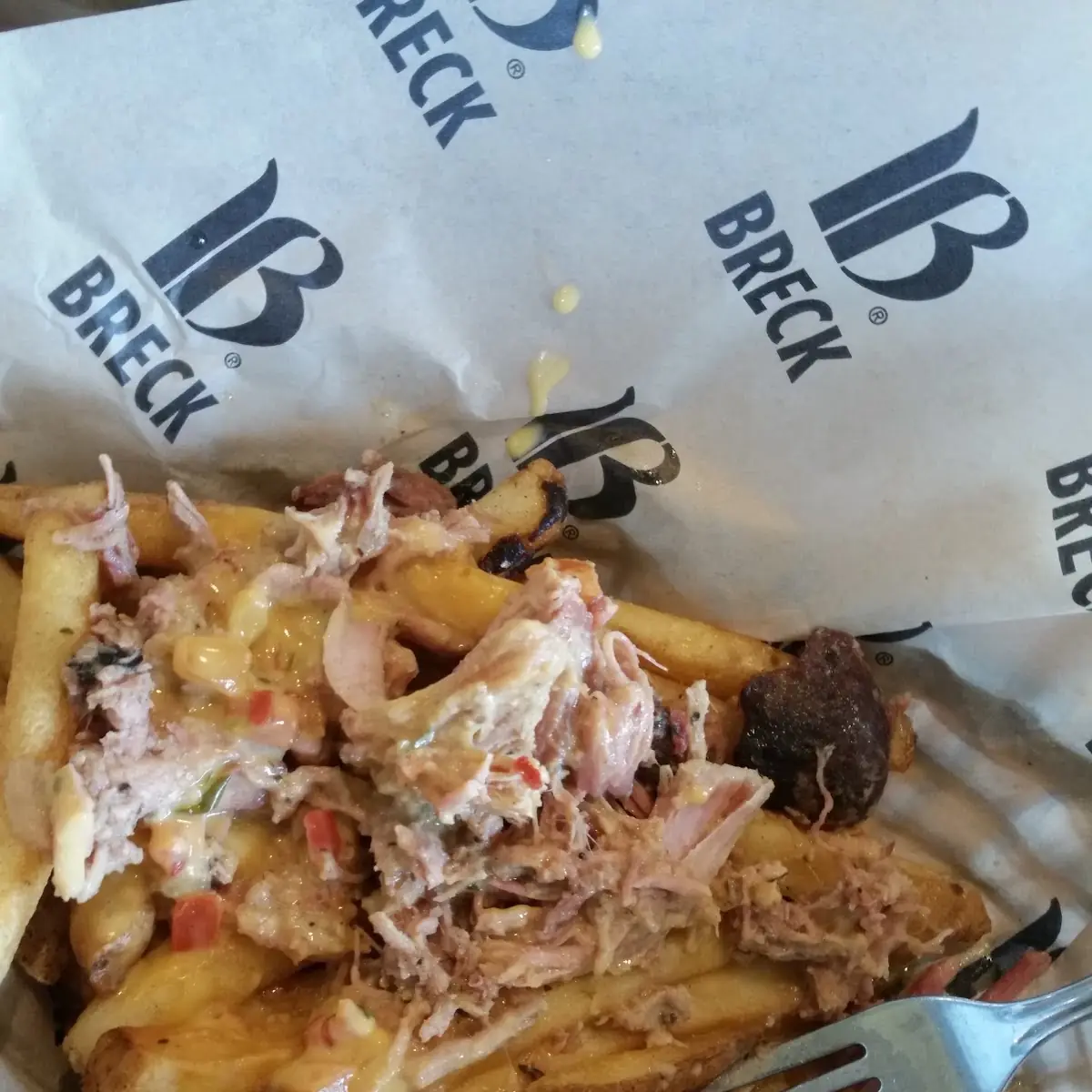 Pull Pork Fries