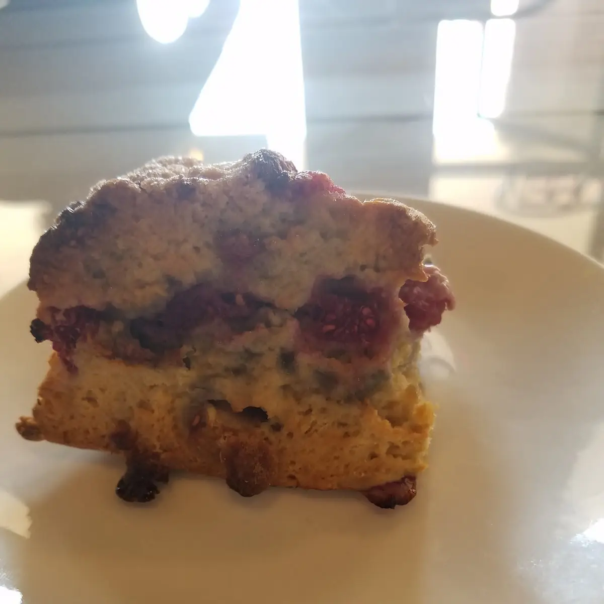 Blueberry Muffin