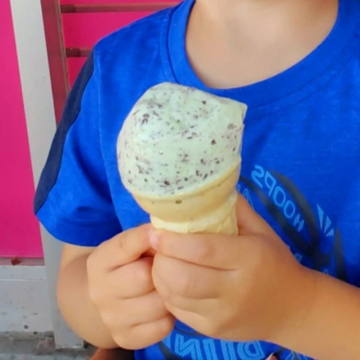 Mint Chocolate Chip