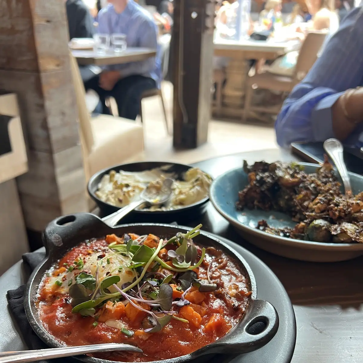 Short Rib Shakshuka