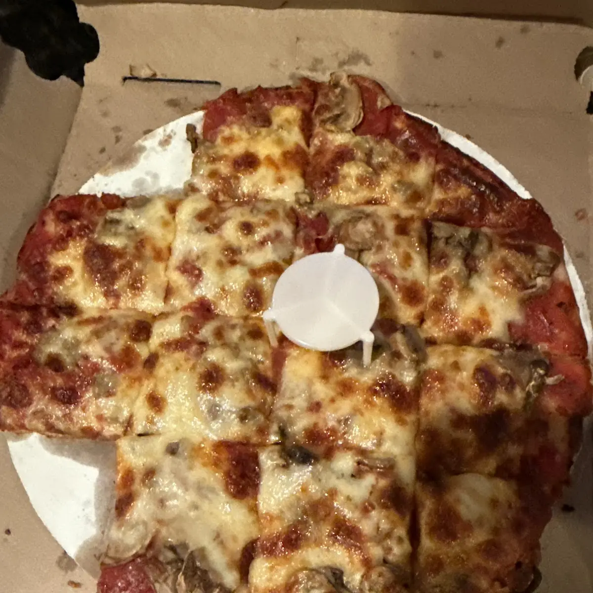 Pepperoni and Half Sausage Pizza