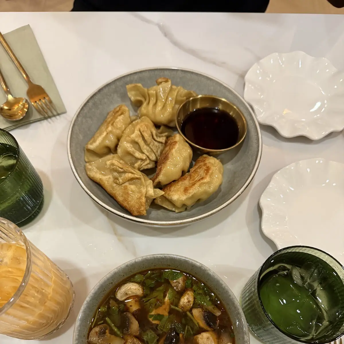 Fried Chicken Dumplings