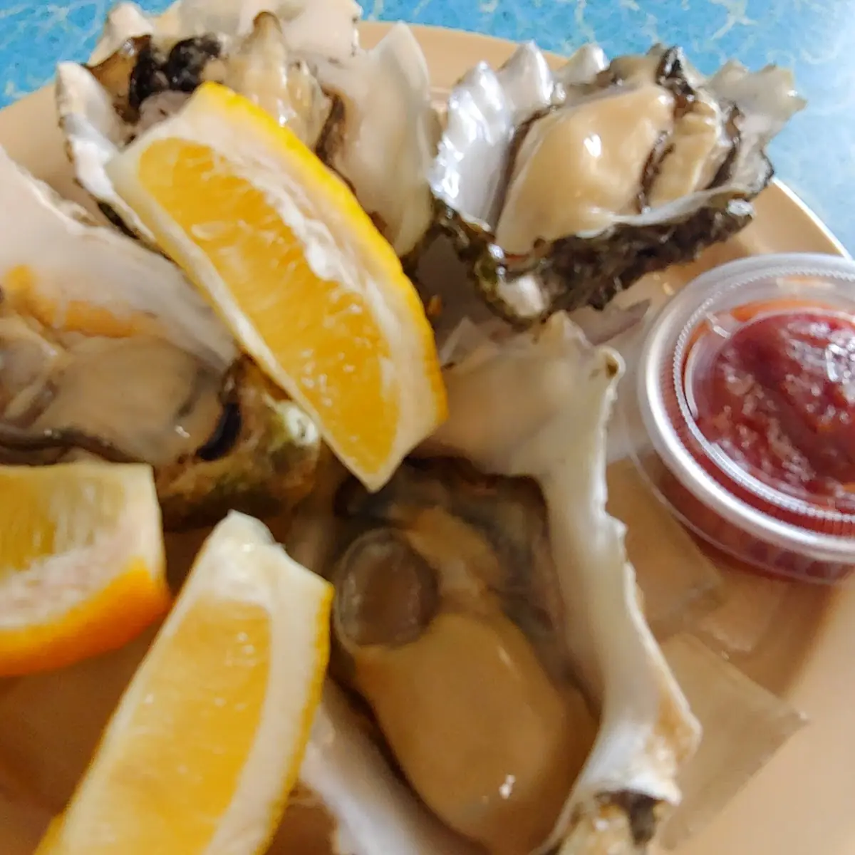 Shucked Oysters on the Half Shell