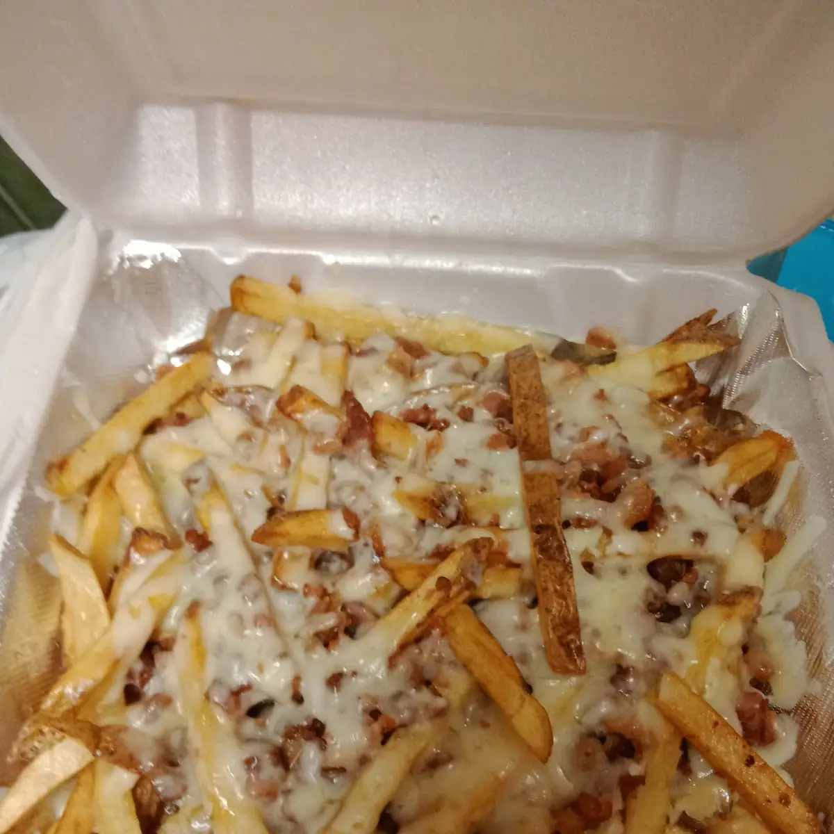 Cheddar Bacon Ranch Fries with Cheese