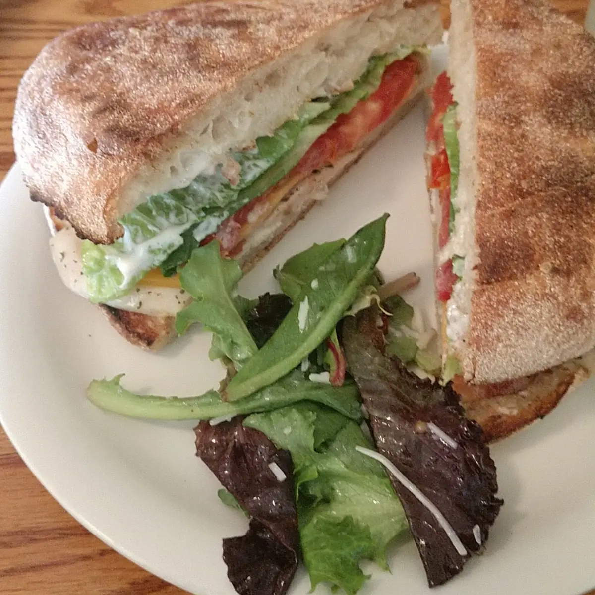 Chicken Bacon Ranch Panini