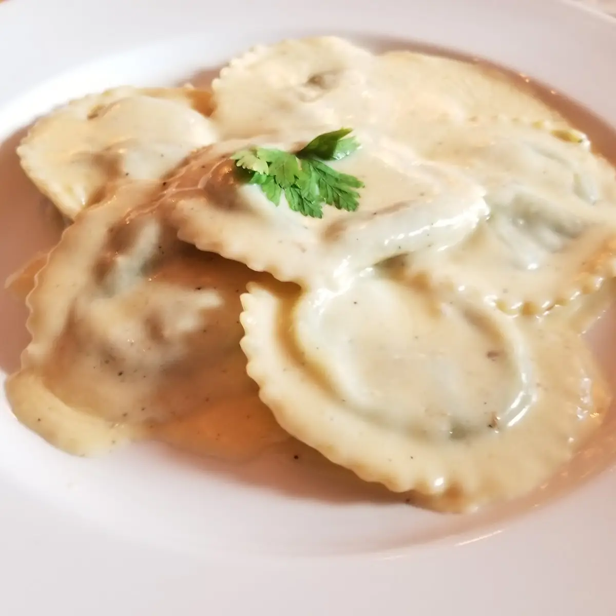 Ravioli Fungi, Vaticano Italian Restaurant Fort Erie