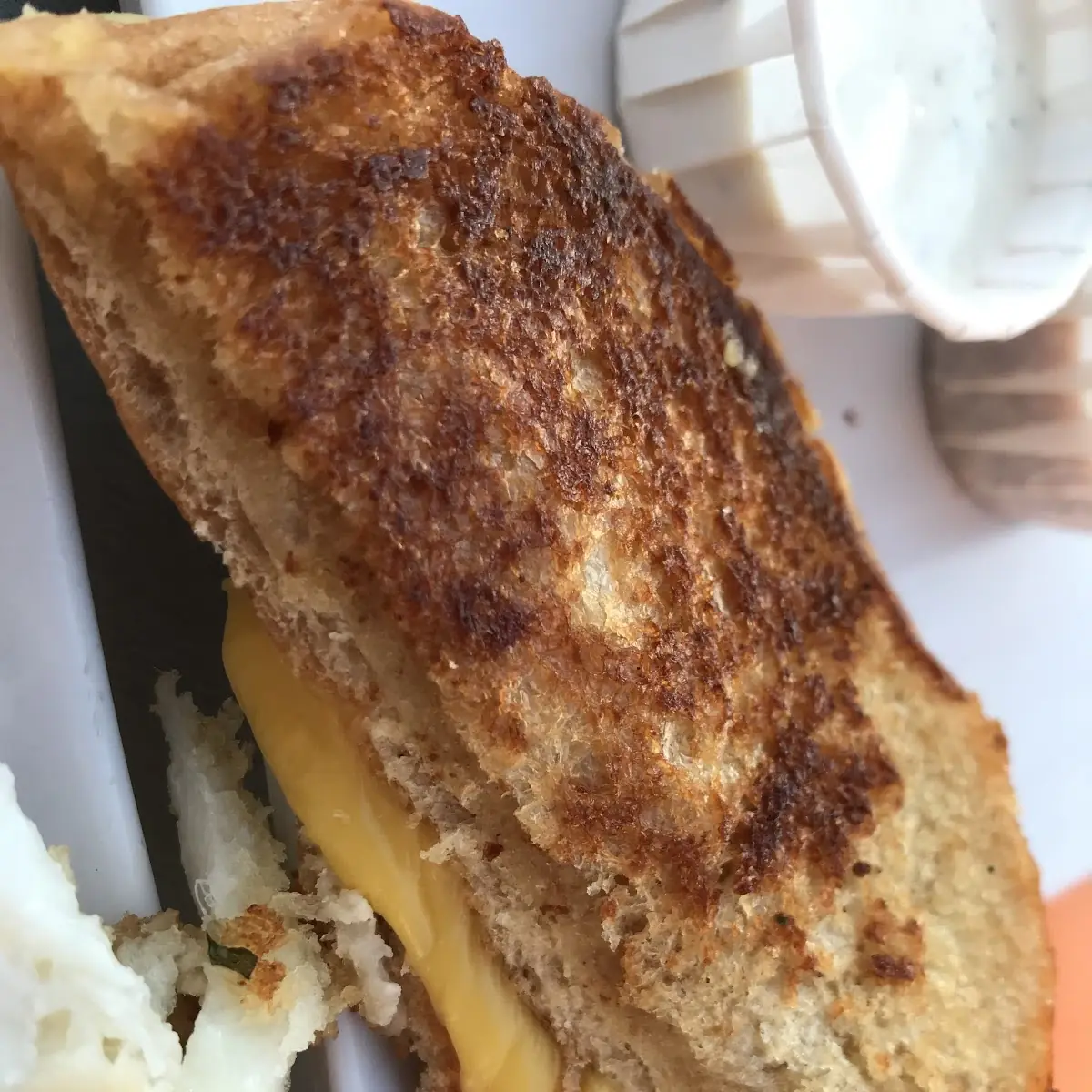 Cheese Sandwich