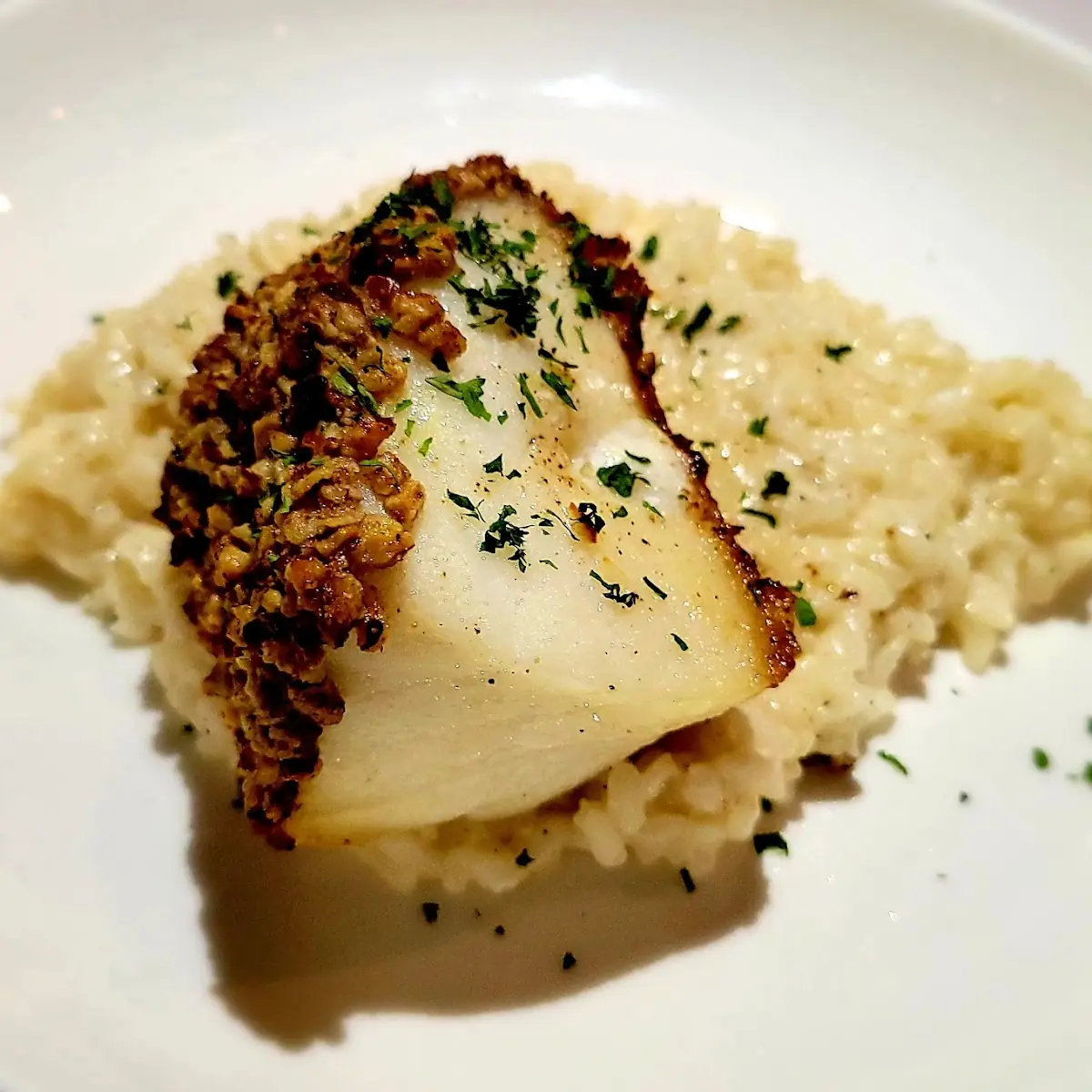 Fennel Crusted Halibut