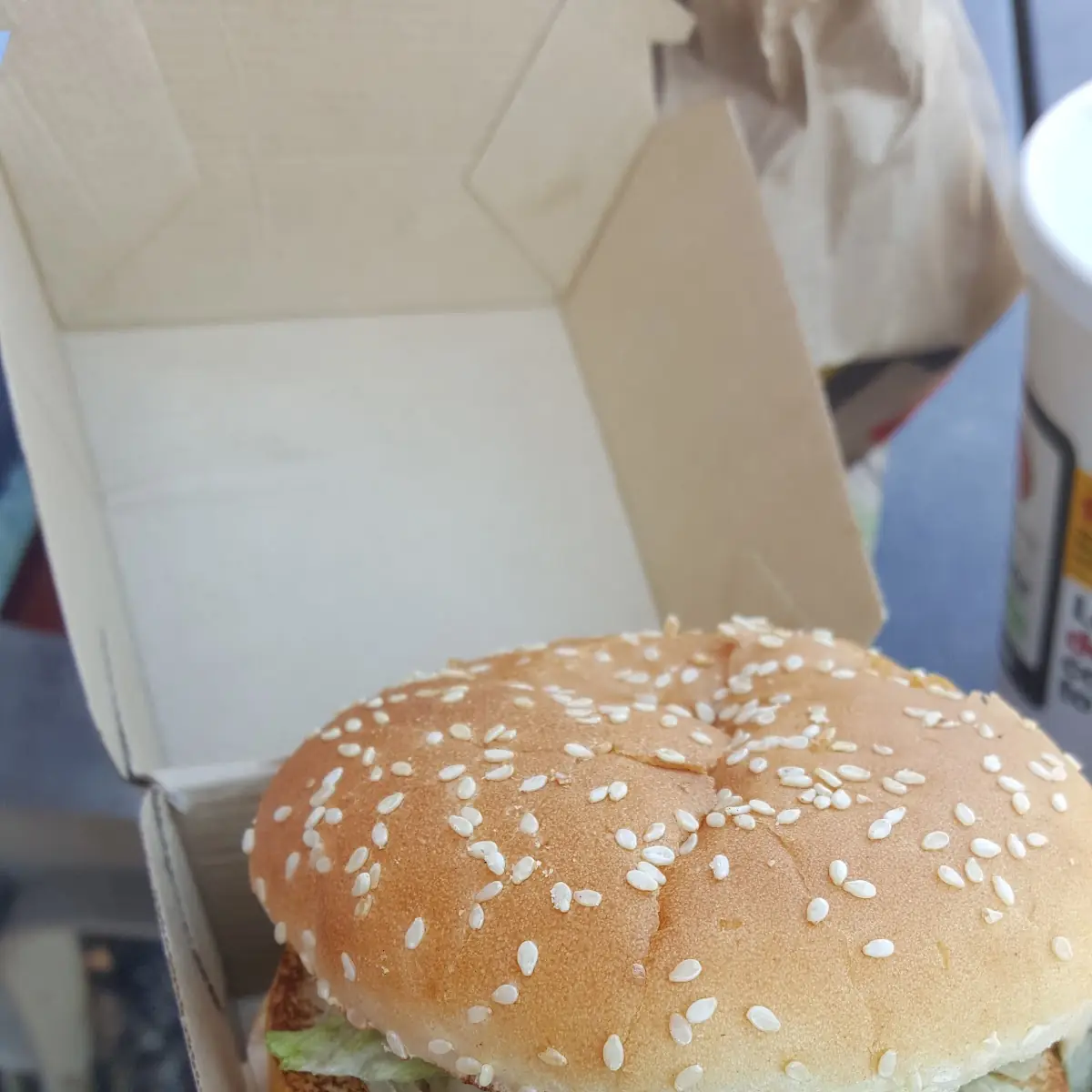 Big Mac Burger and Fries