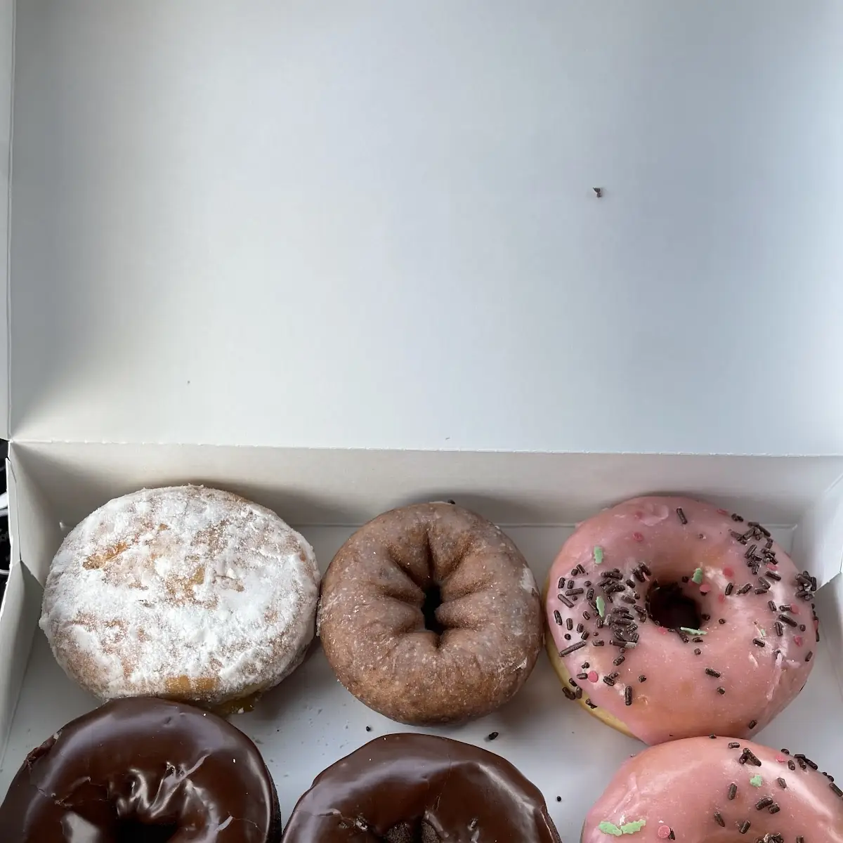 Doughnut