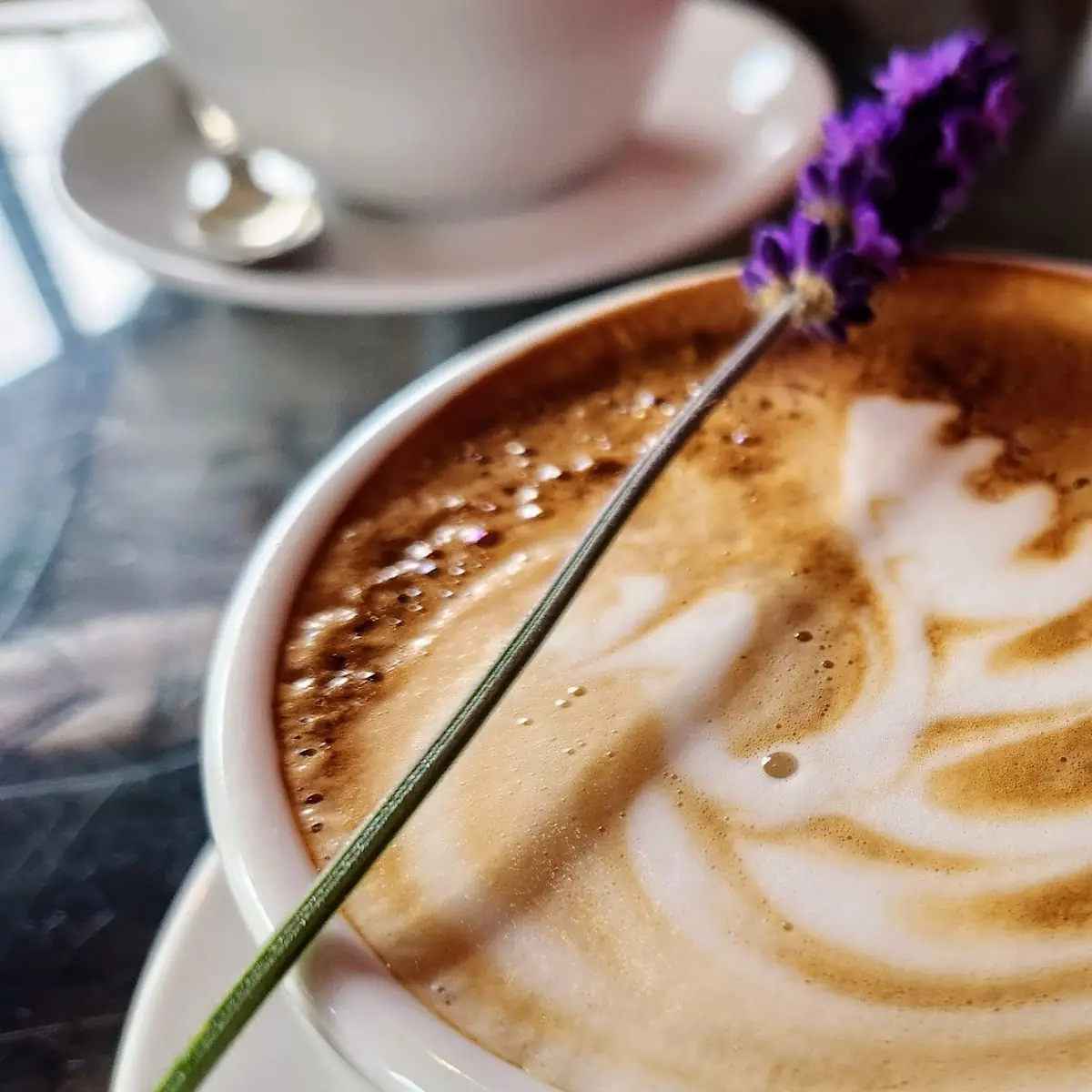 Lavender Latte, Wood N Frog Coffee Company