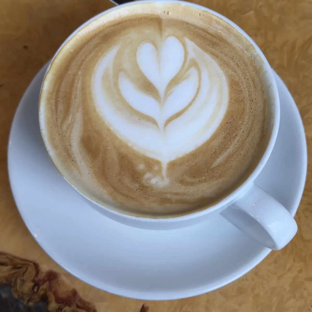 Traditional Cappuccino, Wood N Frog Coffee Company
