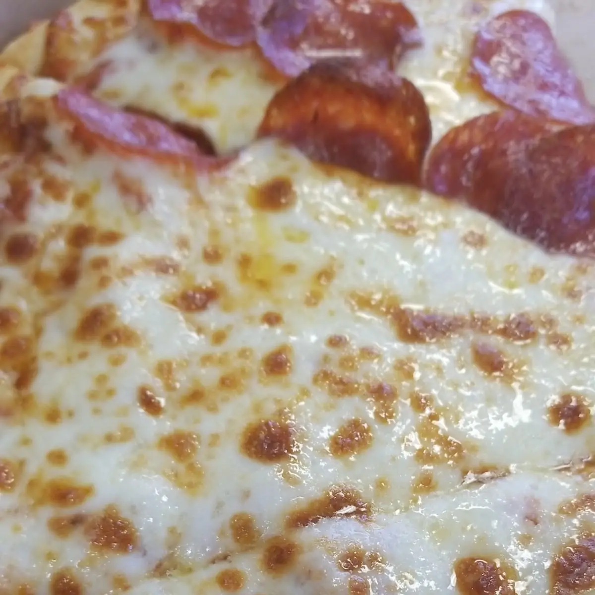 Cheese Pizza