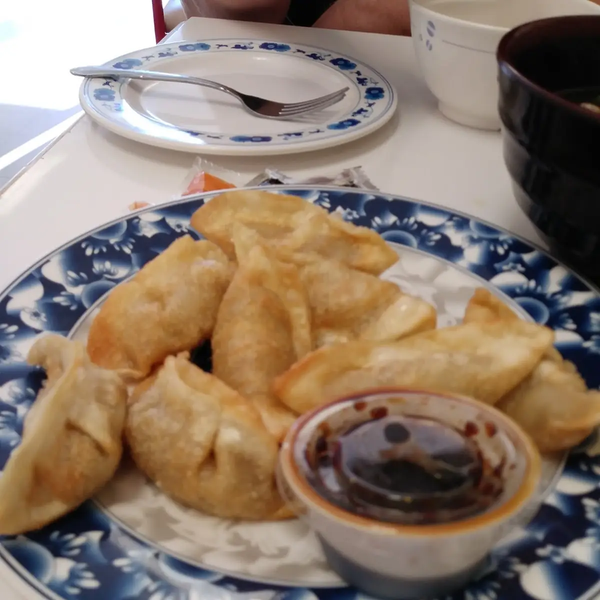 Fried Dumpling