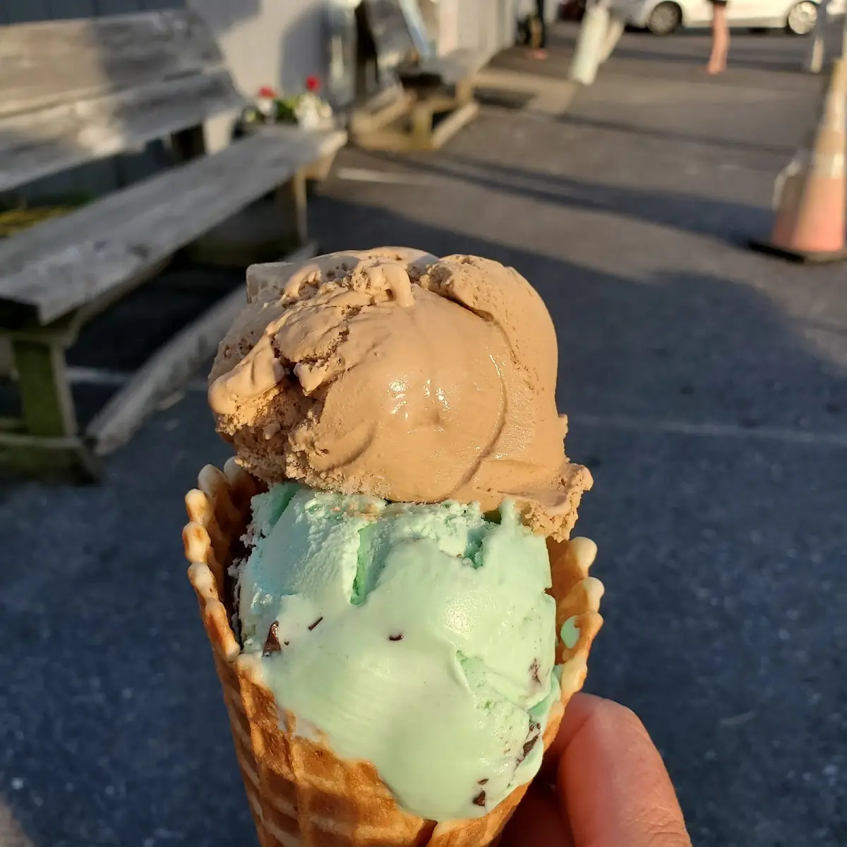 Ice Cream Mint Chocolate Chip & Coffee
