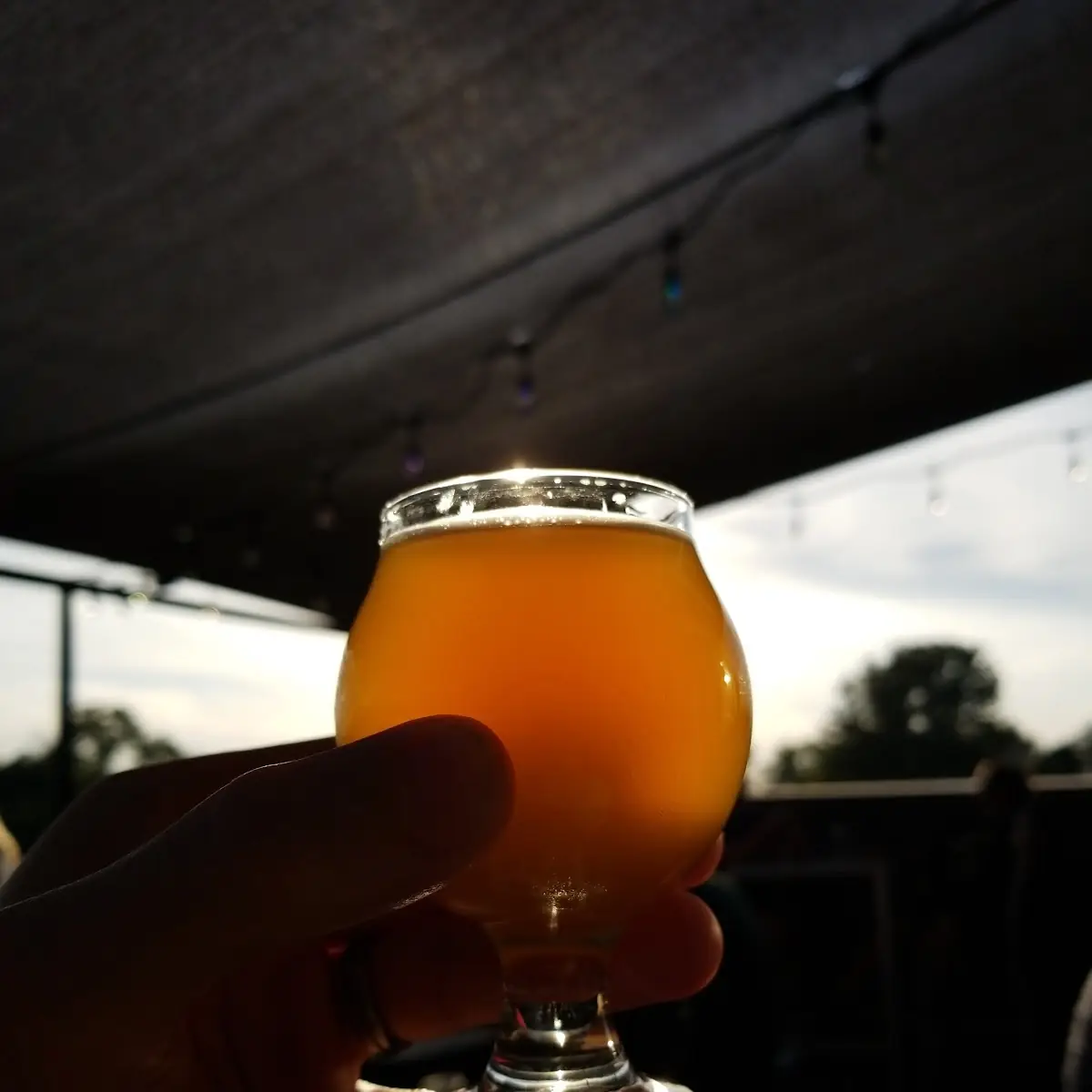 Jaw Belgian Beer Taster Glass