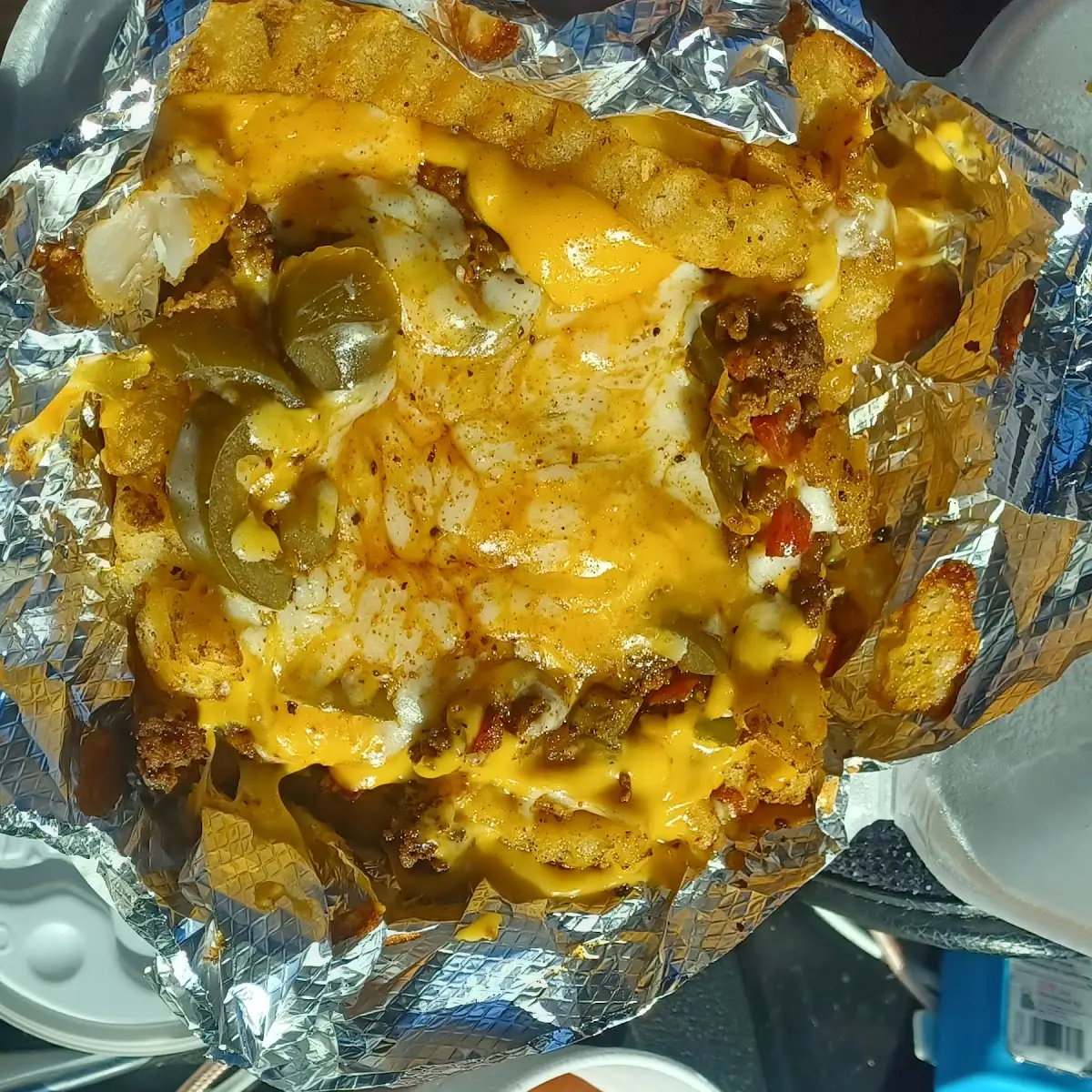 Loaded Fries