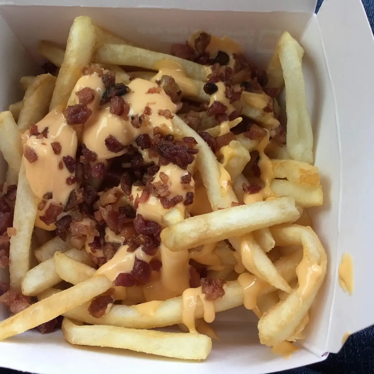 World Famous Fries