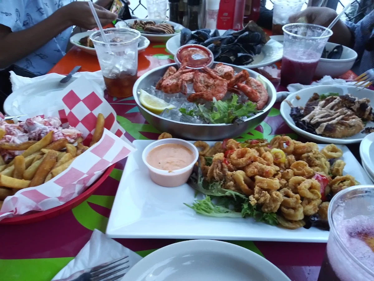 Fried Calamari