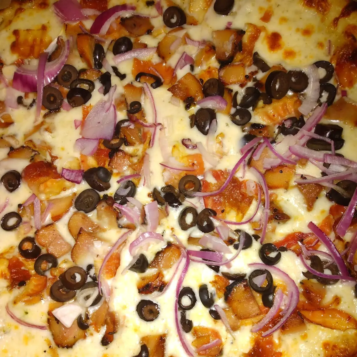 Rays Delight Pizza Plus Other Toppings